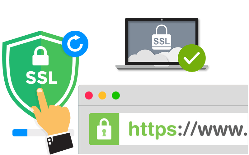 تاثیر SSL در سئو سایت